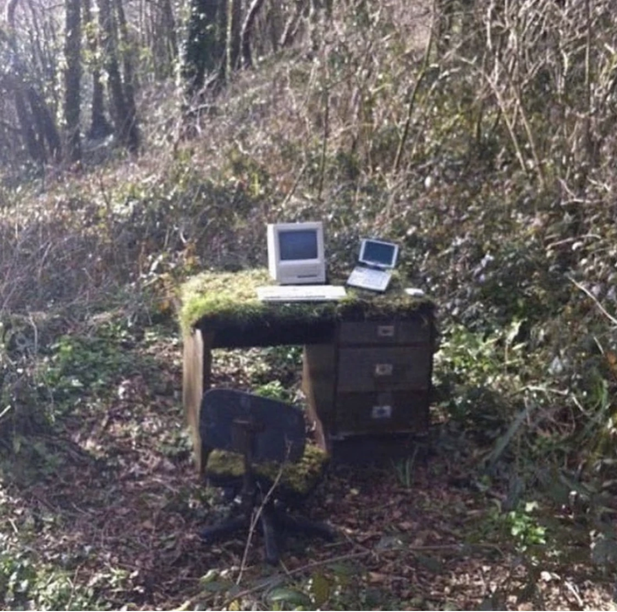 outdooroffice.png